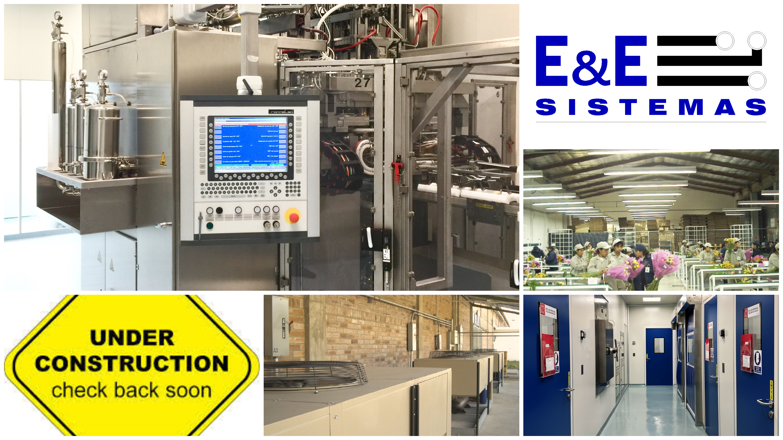 Proyecto E&E Sistemas 1